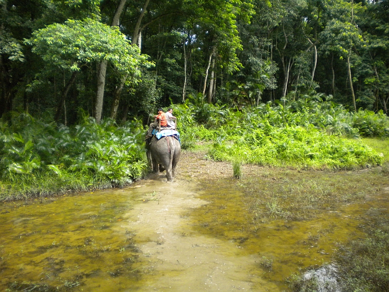 09-08-25-210035.JPG