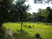 09-08-25-204545