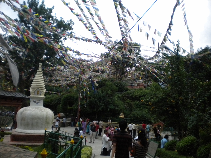 09-08-29-034632.JPG