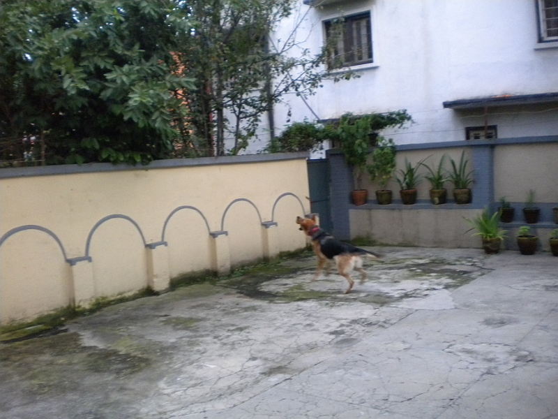 09-08-30-051903.JPG