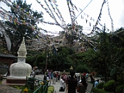 09-08-29-034632
