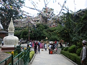 09-08-29-034644
