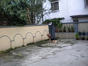 09-08-30-051903