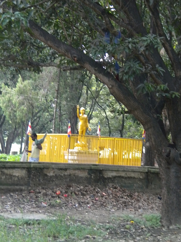09-08-22-231301.JPG