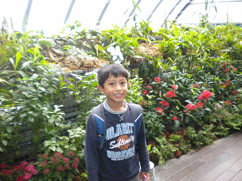 09-08-31-171828.JPG - Butterfly garden at Singapore airport
