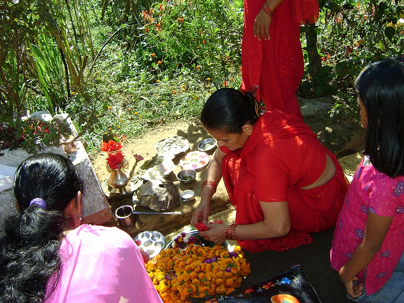 08-10-30-110410.JPG