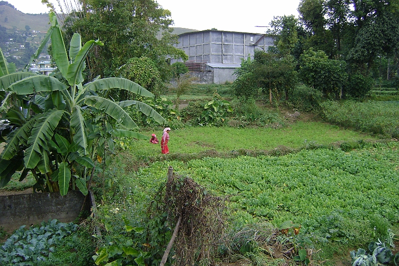 08-11-04-120224.JPG
