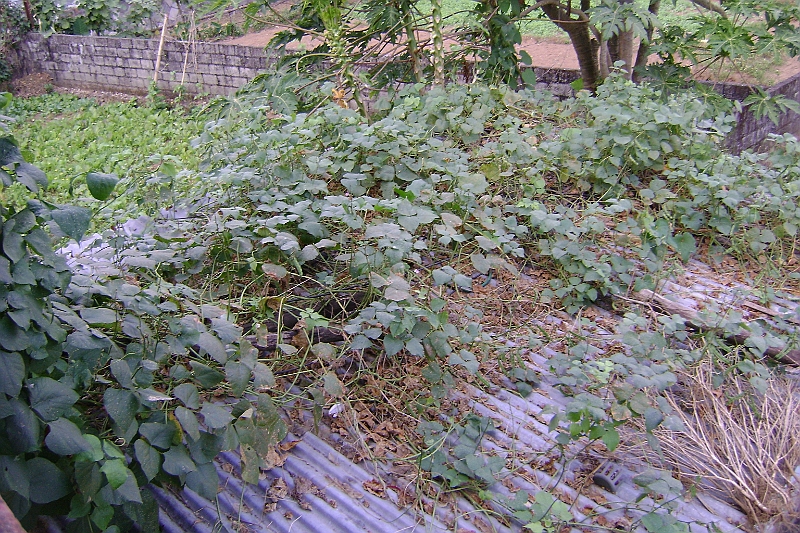 08-11-04-120311.JPG
