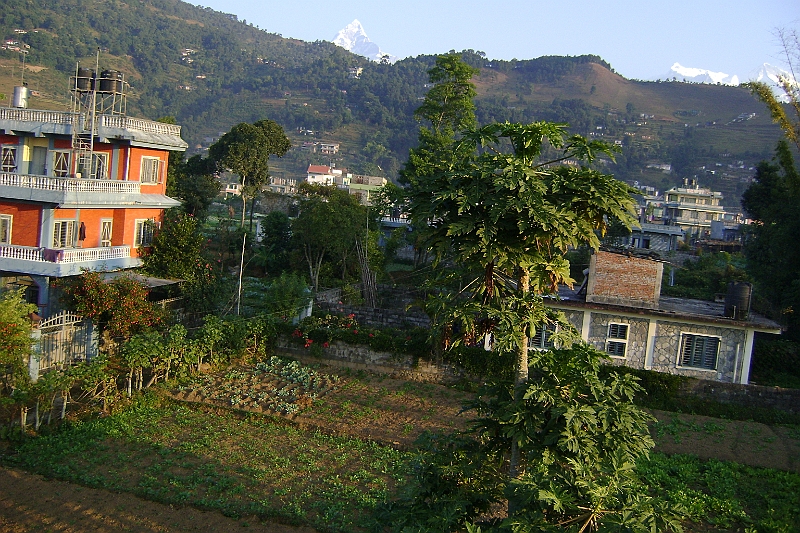 08-11-14-063234.JPG