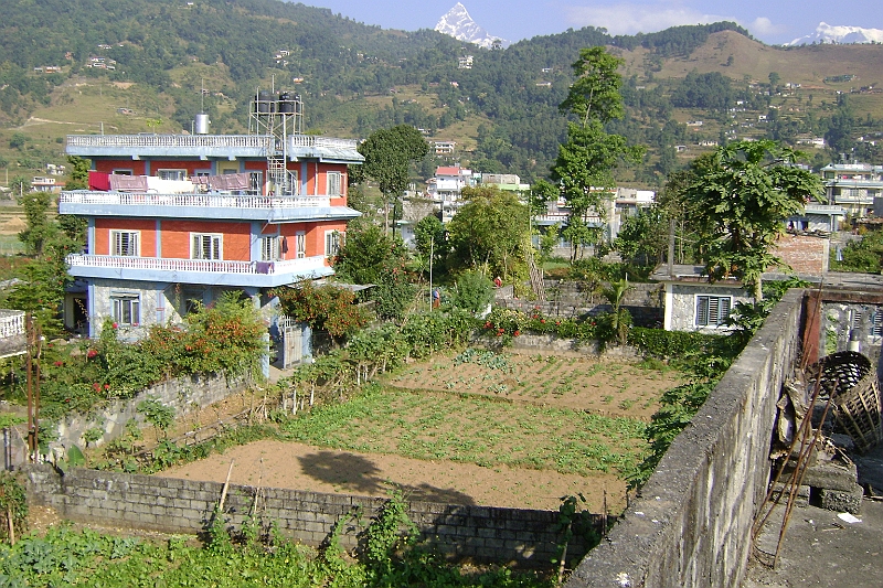 08-11-14-084227.JPG