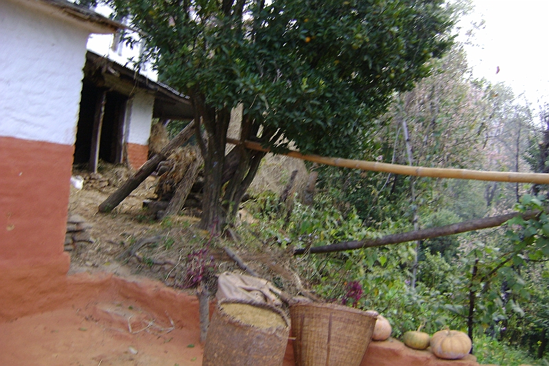 08-11-19-072540.JPG