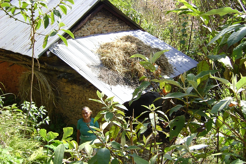 08-11-19-100629.JPG