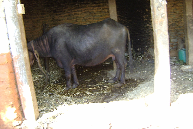 08-11-22-113311.JPG
