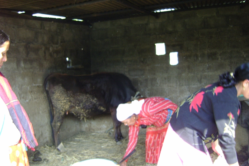 08-11-25-094701.JPG