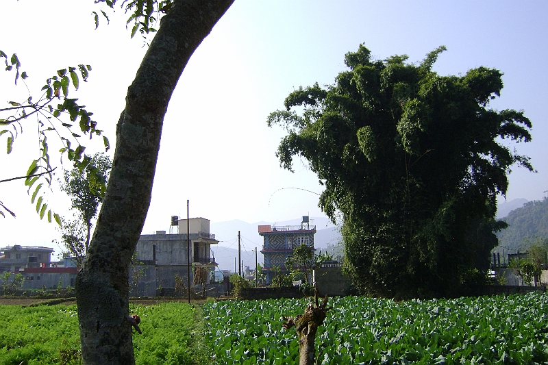 08-11-25-095538.JPG