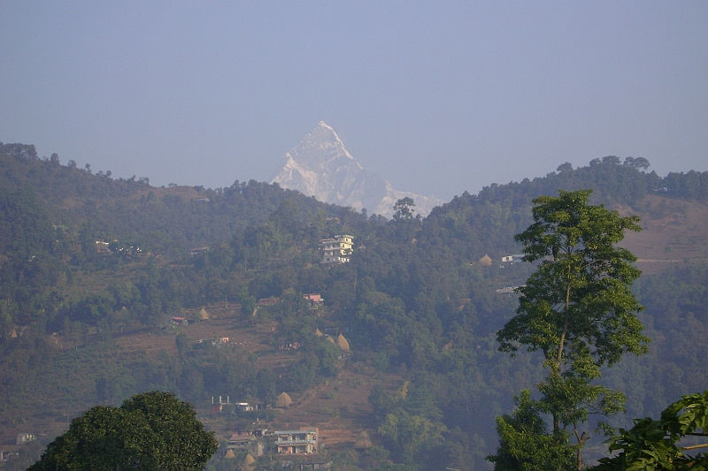 09-01-06-083921.JPG