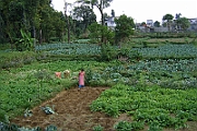 08-11-04-120140