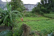 08-11-04-120224