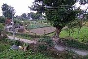 08-11-04-120443
