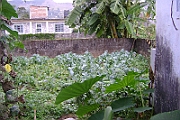 08-11-04-120955
