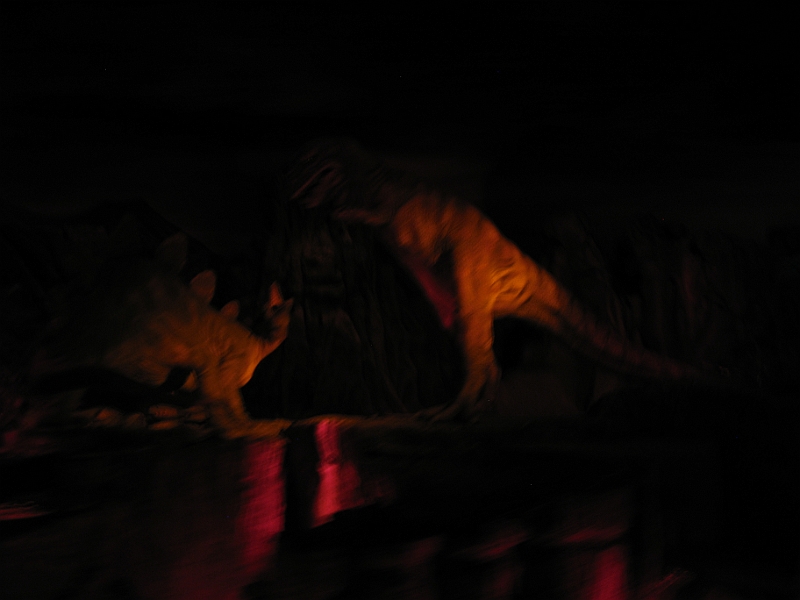 IMG_4959.JPG