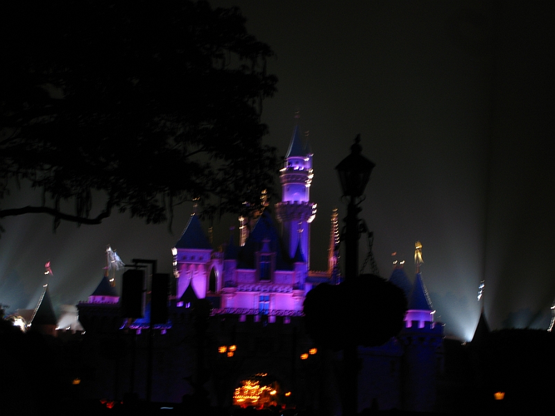 IMG_5802.JPG