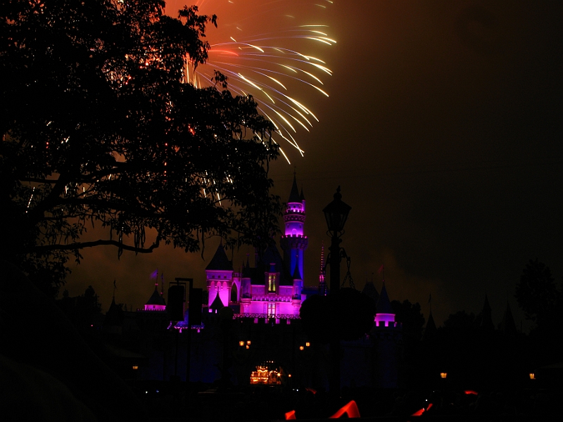 IMG_5837.JPG