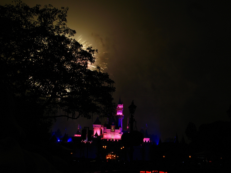 IMG_5845.JPG
