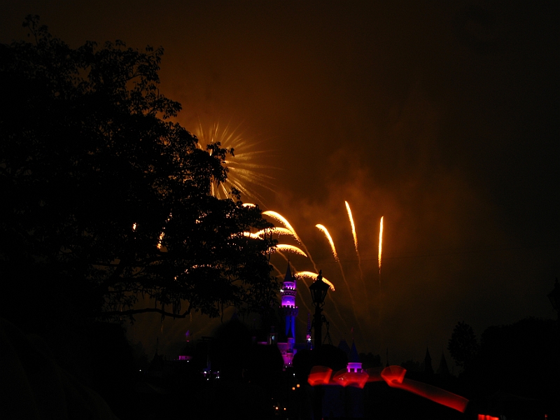 IMG_5853.JPG