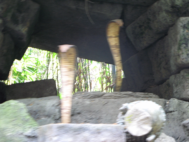 IMG_4964.JPG