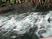 IMG_4979