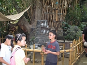 IMG_4991