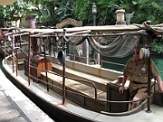 39 Jungle Cruise