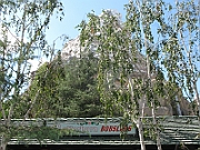 IMG_5028