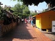 IMG_5180
