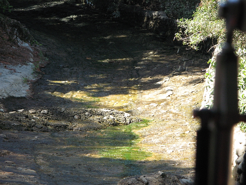 IMG_5450.JPG