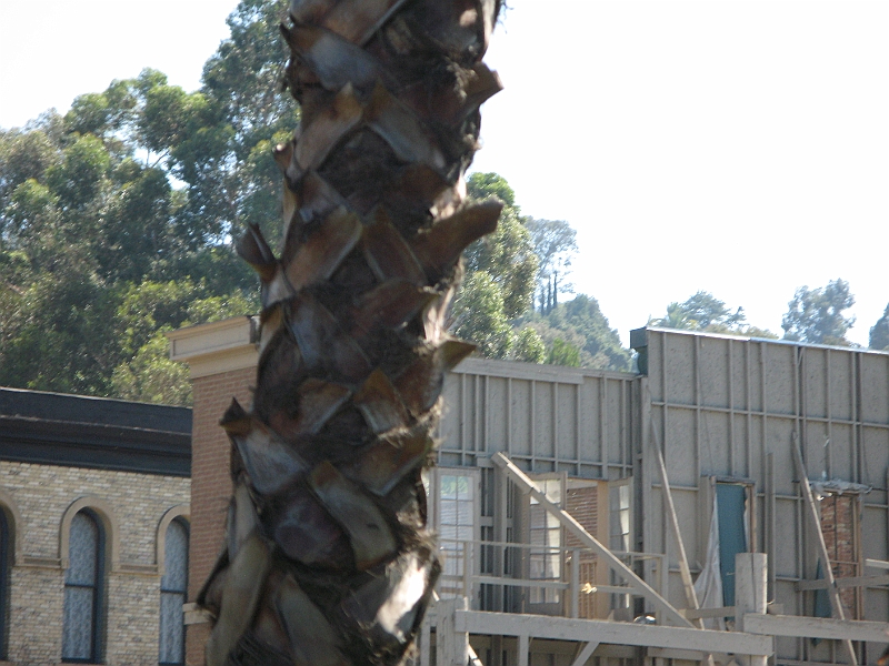 IMG_5468.JPG