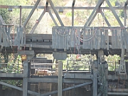 IMG_5430