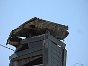 IMG_5561