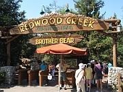 38 Redwood Creek Challenge Trail