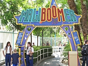 25 Mailboomer