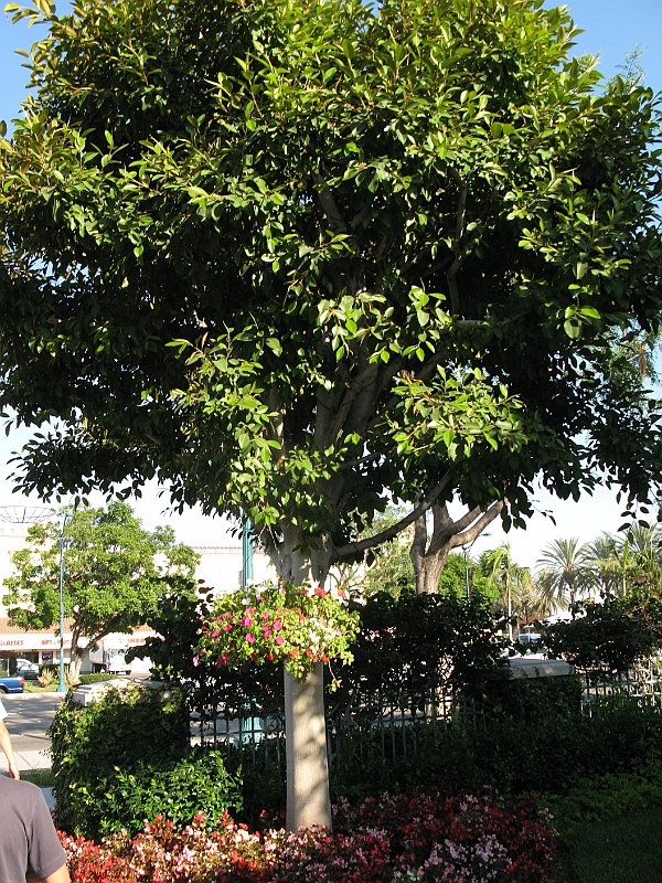 IMG_5767.JPG