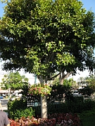 IMG_5767