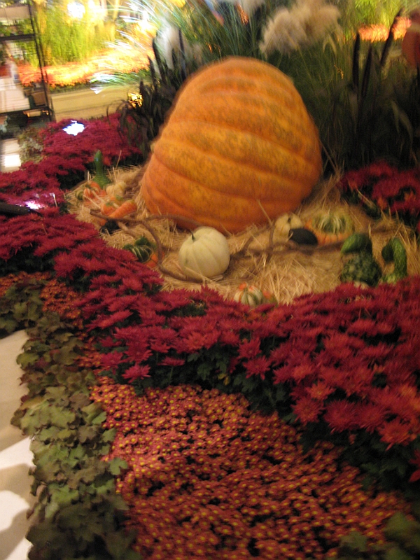 IMG_5913.JPG