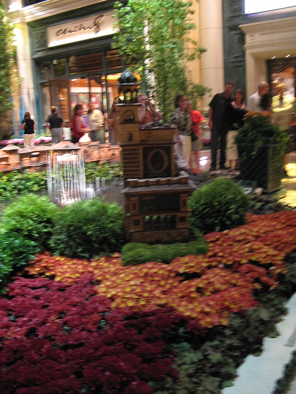 IMG_5923.JPG