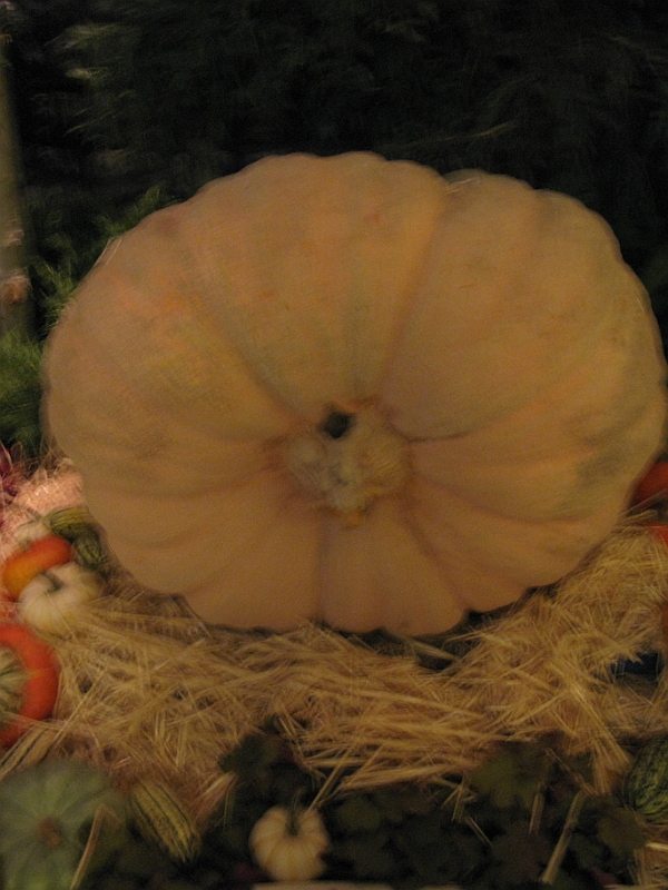 IMG_5940.JPG