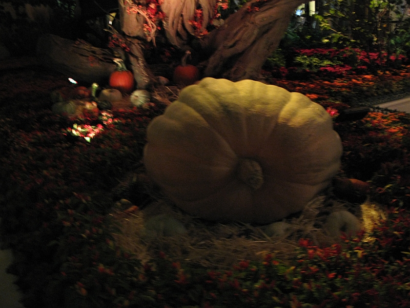 IMG_5948.JPG