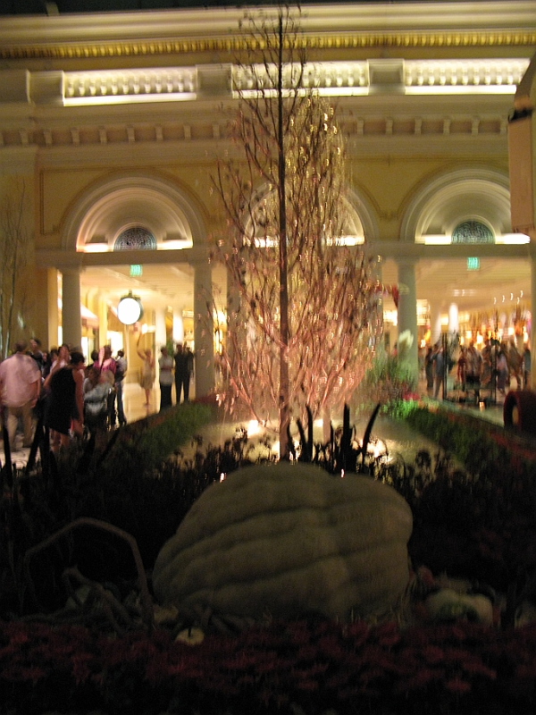 IMG_5954.JPG