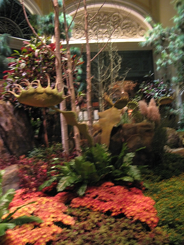 IMG_5958.JPG