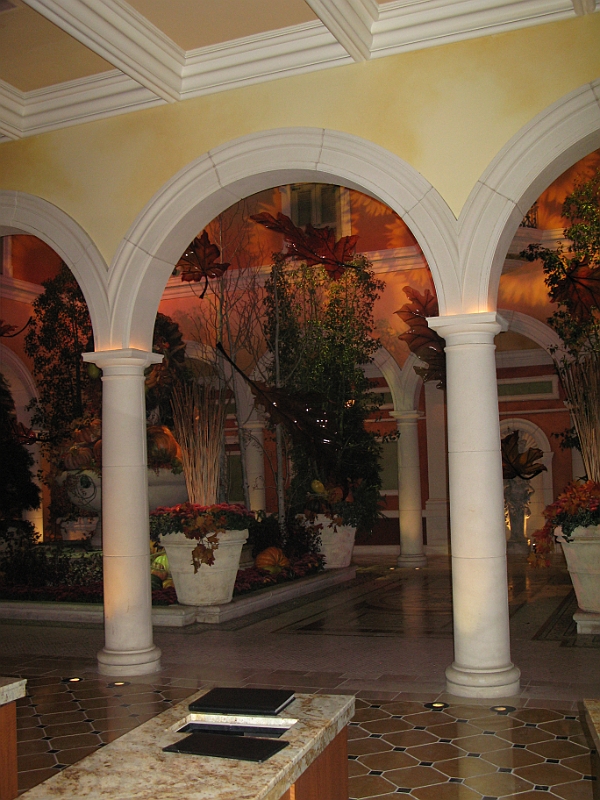 IMG_5969.JPG
